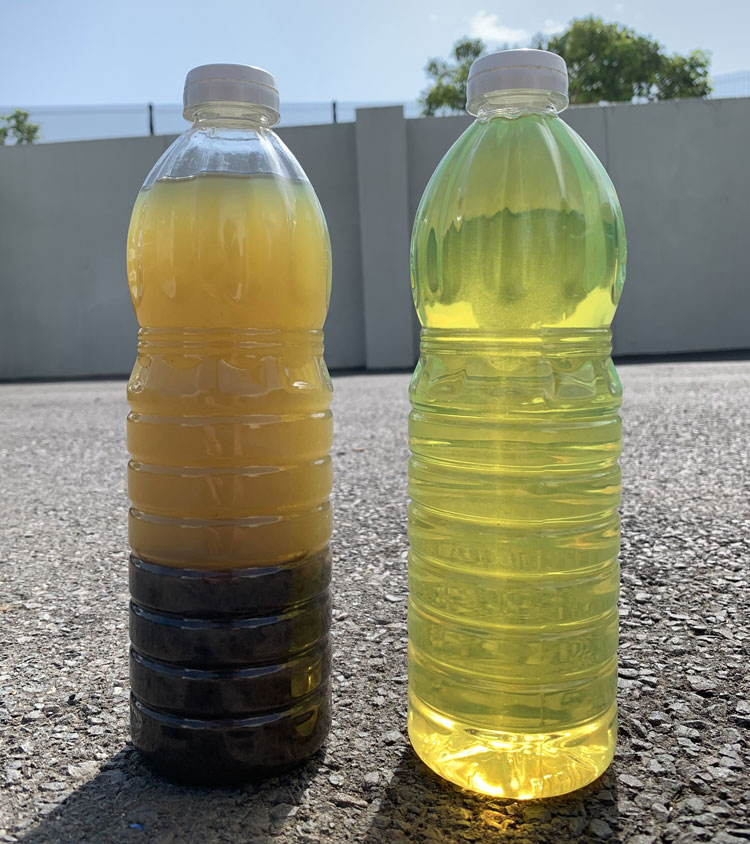 Environmental Policy